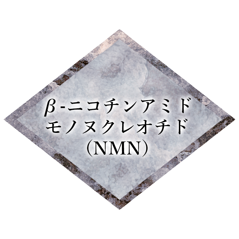 β-ニコチンアミドモノヌクレオチド(NMN)